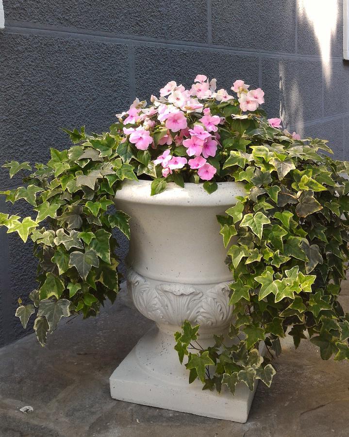 B&B Le Magnolie Gallarate Kültér fotó