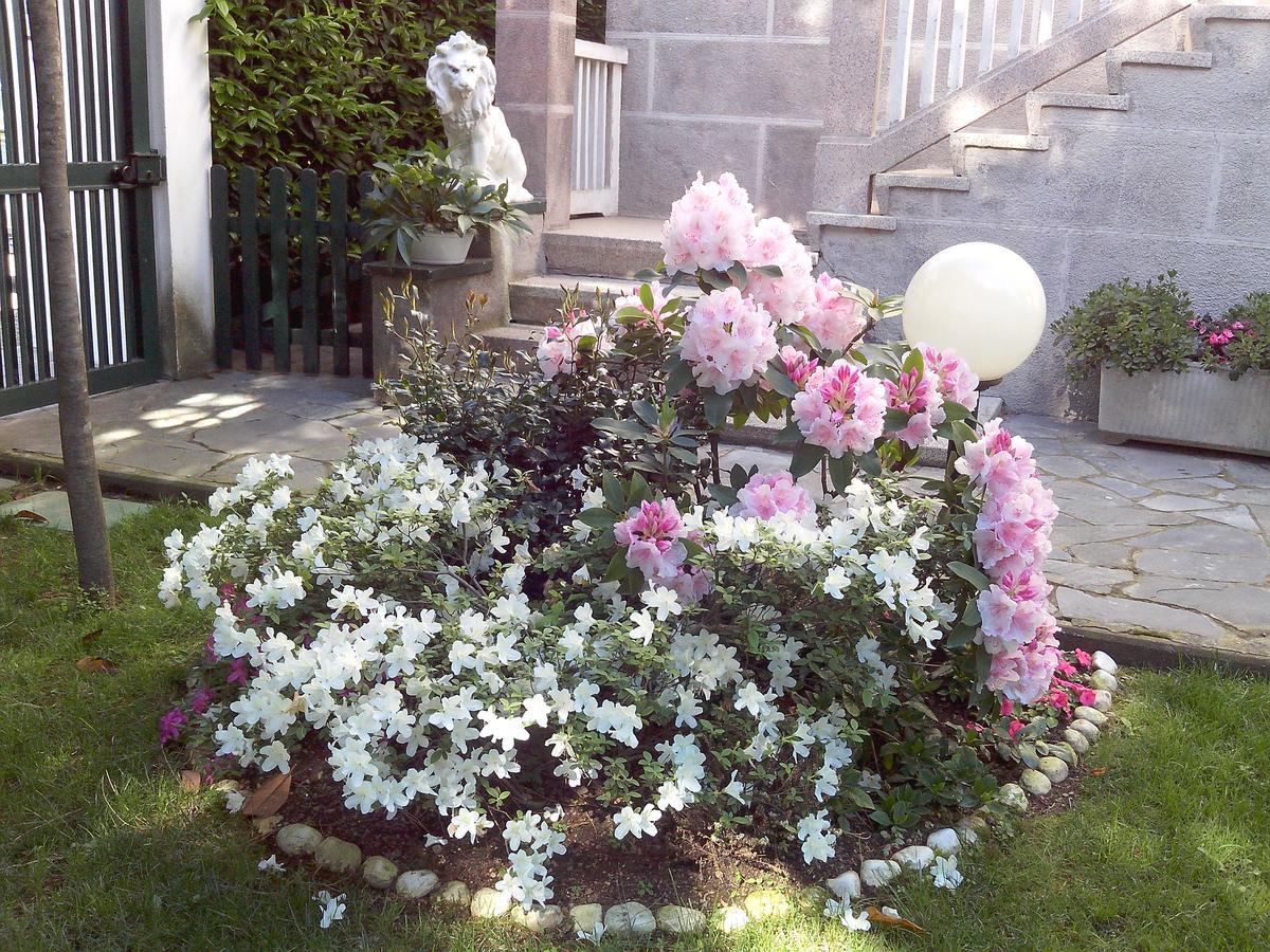 B&B Le Magnolie Gallarate Kültér fotó
